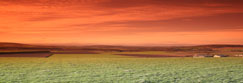 Aview north over the county of Angus from Carrot Hill, Angus, Scotland