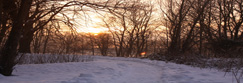 The winter sun setting on Moncreiffe Island on the River Tay at Perth, Perthshire, Scotland