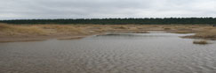 Tentsmuir Forest taken from Kinshaldy Beach near Leuchars, Fife, Scotland