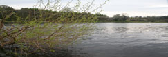 A view of the River Tay near to Stanley, Perthshire, Scotland