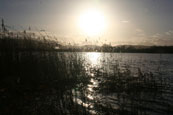 The River Tay at Inchyra in the Carse of Gowrie near Perth, Perthshire, Scotland