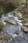 The Annaty Burn, near to Scone, Perthshire, Scotland