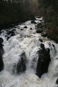 The falls on the River Braan at the Hermitage, Dunkeld, Perthshire, Scotland