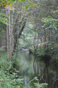 The Mill Lade near Almondbank, Perthshire, Scotland