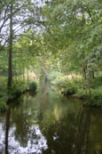 The Mill Lade near Almondbank, Perthshire, Scotland