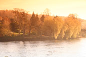 The Norrie Miller Walk on the banks of the River Tay at Perth, Pertshire, Scotland