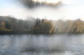 The Norrie Miller Walk on the banks of the River Tay at Perth, Pertshire, Scotland