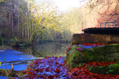 The River Almond, Perthshire,Scotland