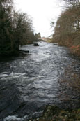 The River Isla above the waterfalls known as the Reekie Linn, Angus, Scotland