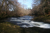 The River Almond at Buchanty above Buchanty Spout, Glenalmond, Perthshire, Scotland