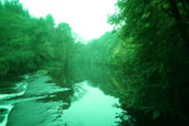 The River Almond near Almondbank, Perthshire, Scotland