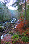 The River Braan nea to the Hermitage, Dunkeld, Perthshire,Scotland