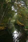 The Mill Lade near Almondbank, Perthshire, Scotland