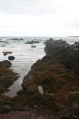 Rock Pools beside Coldingham Beach near to St Abbs in the Scottish Borders, Scotland