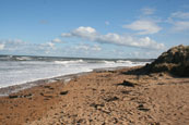 The award winning Kingsbarns Beach beside Kingsbarns Links near St Andrews in the East Neuk of Fife, Scotland