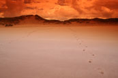 Redpoint Beach near to Badachro, Wester Ross, Scotland