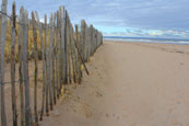 The West Sands at St Andrews, Fife, Scotland