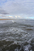 The West Sands at St Andrews, Fife, Scotland