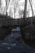 Bonhard Burn in The Den at Scone.  This is a tributary of the Annaty Burn which ultimately flows into the River Tay, Perthshire, Scotland