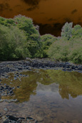 Part of the river bed of the River Tay dried out in the summer.  Near to Stanley, Perthshire, Scotland