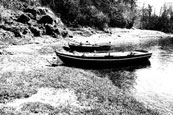 Fishing boats at rest in the pool at Campsie Linn on the River Tay at Campsie near to The Guildtown, Perthshire, Scotland