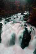 The falss at The Hermitage on the River Brahan near Dunkeld, Perthshire, Scotland