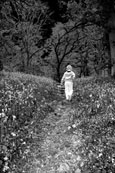 This photograph was taken at the Bluebell Woods near Murthly, Perthshire, Scotland