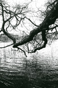 Lundie Loch near to the village of Lundie near to Birkhill, Angus, Scotland