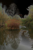 Quarymill Pond to be found on the woodland walk near to Scone Palace, Perthshire, Scotland