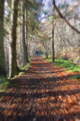 Alongside the River Almond near to Pitcairngreen, Perthshire, Scotland