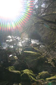 The River Braan, Perthshire, Scotland