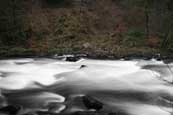 Winter flood on the River Braan near Dunkeld, Perthshire, Scotland