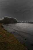 Woody Island on the River Tay at Perth, Perthshire, Scotland