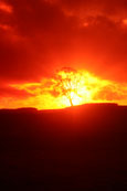 Sunset in Glenalmond near Buchanty, Perthshire, Scotland