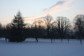 The sun setting over Moncreiffe Island on the River Tay at Perth, Perthshire, Scotland