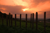 Sunset on Moncrieffe hill, Perth, Perthshire, Scotland