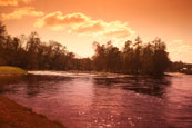 Late spring afternoon on the River Tay at Campsie near to The Guildtown, Perthshire, Scotland