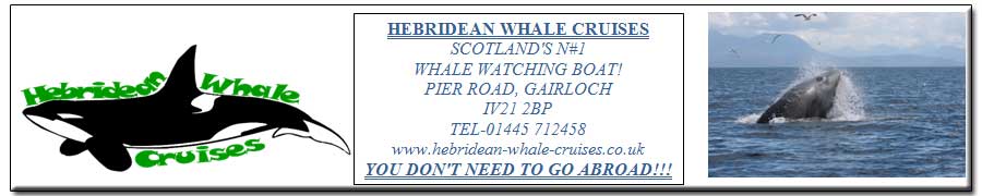 HEBRIDEAN WHALE CRUISES